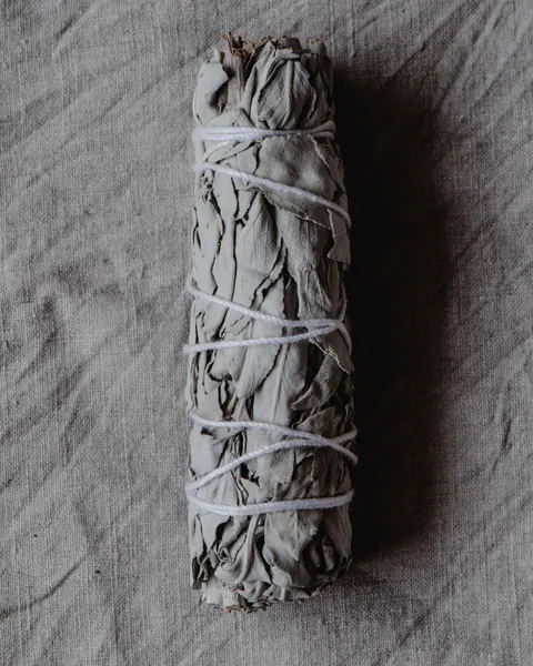 Baltojo šalavijo (Salvia apiana) ryšulėlis